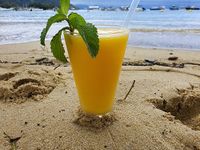 ilha-grande-saft